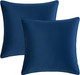 Set of 2 Cushions with Piped Velvet Covers Included - 45x45 cm