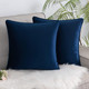 Set of 2 Cushions with Piped Velvet Covers Included - 45x45 cm