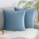 Set of 2 Cushions with Piped Velvet Covers Included - 45x45 cm
