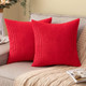 Set of 2 Cushions with Corduroy Covers Included - 45x45 cm
