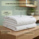 corovin-mattress-protectors-infographic-polypropylene-corovin-fabric-water-resistant-machine-washable-easy-care-elasticated-skirt-multiple-sizes-labelled-features