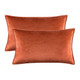 Premium Piped Velvet Cushion Covers - 30x50cm