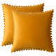 Set of 2 Cushions with Premium Pompom Velvet Cushion Covers Included - 45x45cm