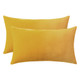 Set of 2 Cushions with Premium Plain Velvet Covers Included - 30x50cm