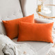 Set of 2 Cushions with Premium Plain Velvet Covers Included - 30x50cm