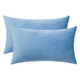 Set of 2 Cushions with Premium Plain Velvet Covers Included - 30x50cm