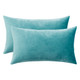 Set of 2 Cushions with Premium Plain Velvet Covers Included - 30x50cm