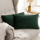 Set of 2 Cushions with Premium Plain Velvet Covers Included - 30x50cm