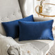 Set of 2 Cushions with Premium Plain Velvet Covers Included - 30x50cm