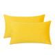 Set of 2 Cushions with Premium Plain Velvet Covers Included - 30x50cm