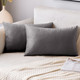 Set of 2 Cushions with Premium Plain Velvet Covers Included - 30x50cm