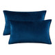 Set of 2 Cushions with Premium Piped Velvet Covers Included - 30x50cm