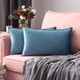 Set of 2 Cushions with Premium Piped Velvet Covers Included - 30x50cm