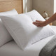 white-200-thread-count-sateen-stripe-microfibre-pillowcase-hand-demonstrating-soft-microfibre-fabric-sateen-stripe-finish-bedroom-lifestyle
