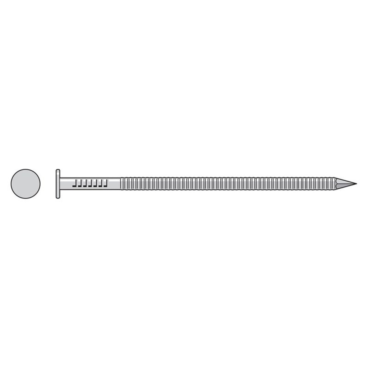 Close Up Of The Heads Of Steel Ring Shank Nails Arranged Parallel And In  The Lower Portion Of The Image With White Background. Stock Photo, Picture  and Royalty Free Image. Image 6505307.