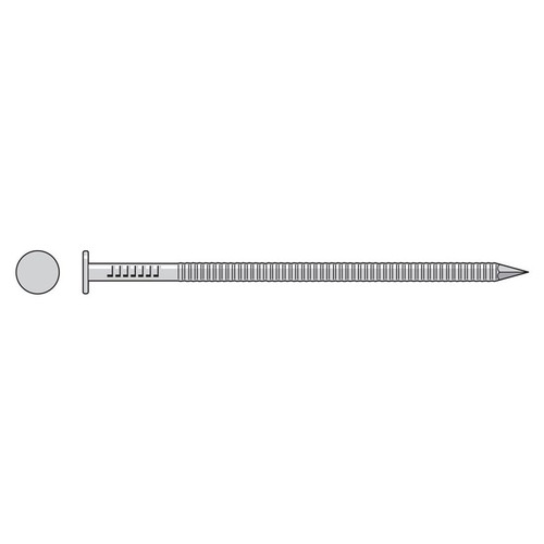 Simpson Strong-Tie S60ACNB - 6" x .238" 4Ga Ring Shank Nail 304SS 60ct