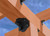 Simpson Strong-Tie APA4 - Alternate View 3
