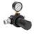GRACO 202858 - Air Pressure Regulator with Gauge, 1/2" NPSM(F) Inlet, 1/2" NPT Outlet, 0-200 PSI