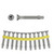Simpson Strong-Tie TBG1445S - #14 x 1-3/4" Galv. Wood-to-Steel Screw 1000ct