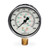 GRACO 2007096 - Stainless Steel High Pressure Fluid Gauge, 0-5000 psi (0-344 bar) pressure range