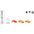 Amana Tool 46229-AMANA - Alternate View 3
