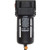 Coilhose Pneumatics 29-4FF12-0 29 Series Filter, Standard, 1/2" Manual, 20 micron