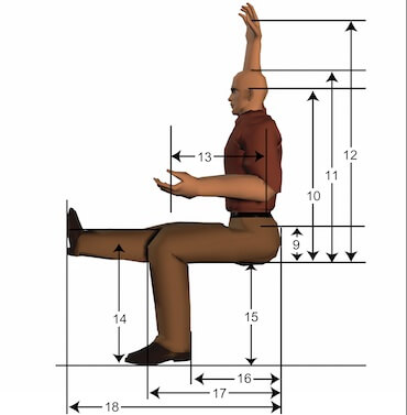 Upright Positions Dimensions & Drawings