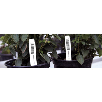 1" x 5" Plant Stakes, Thermal Transfer Printed, Horizontal Orientation, Lavender