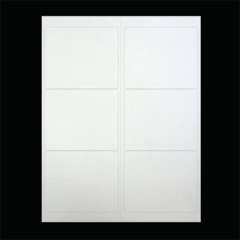 4 in W x 3.33 in L, 2 Across, Laser Matte Paper Uncoated Sheeted Labels, White, General Purpose Permanent Adhesive, No Perf, 6 Labels/Sheet, 4 (250 sheets/pack) /Case, 1 Case (6,000 Labels), Black Rhino Smart Laser