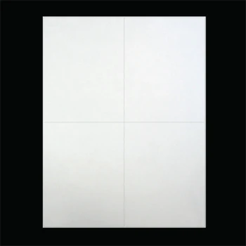 4.25 in W x 5.5 in L, 2 Across, Laser Matte Paper Uncoated Sheeted Labels, White, General Purpose Permanent Adhesive, No Perf, 4 Labels/Sheet, 4 (250 sheets/pack) /Case, 1 Case (4,000 Labels), Black Rhino Smart Laser