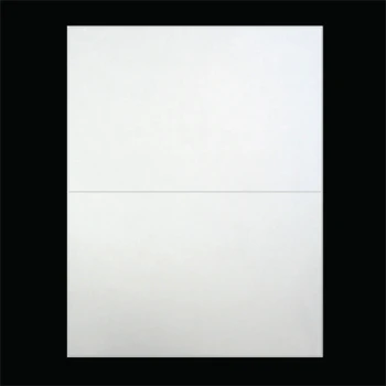 8.5 in W x 5.5 in L Laser Matte Paper Uncoated Sheeted Labels, White, General Purpose Permanent Adhesive, No Perf, 2 Labels/Sheet, 4 (250 sheets/pack) /Case, 1 Case (2,000 Labels), Black Rhino Smart Laser