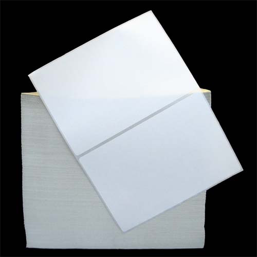 6 in W x 4 in L TT Matte Paper Labels, Fanfold, White, General Purpose Permanent Adhesive, Perf, 8.25 in Fanfold Length, 2,500 Labels/Stack, 2 Stacks/Case, 1 Case (5,000 Labels), Black Rhino Stock Labels