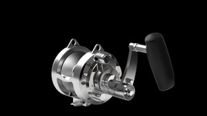 AVET - EX30/2 AVET - EX30/2