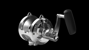 AVET - EX50/2 AVET - EX50/2