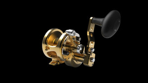 AVET - SXJ6/4 MC G2 WITH GLIDE PLATE