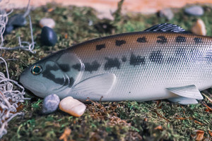 DEFIANT - 210 8.25" SWIMBAIT GHOST BLACK BASS DEFIANT - 210 8.25" SWIMBAIT GHOST BLACK BASS