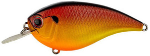EVERGREEN - Flat Force - Pan fish EVERGREEN - Flat Force - Pan fish
