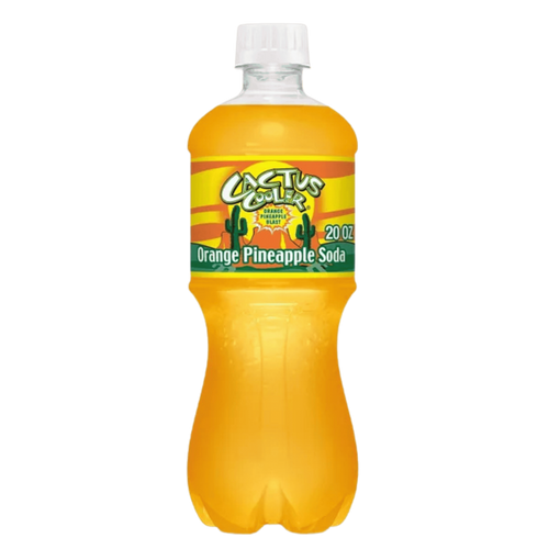 Cactus Cooler Bottle, 20oz