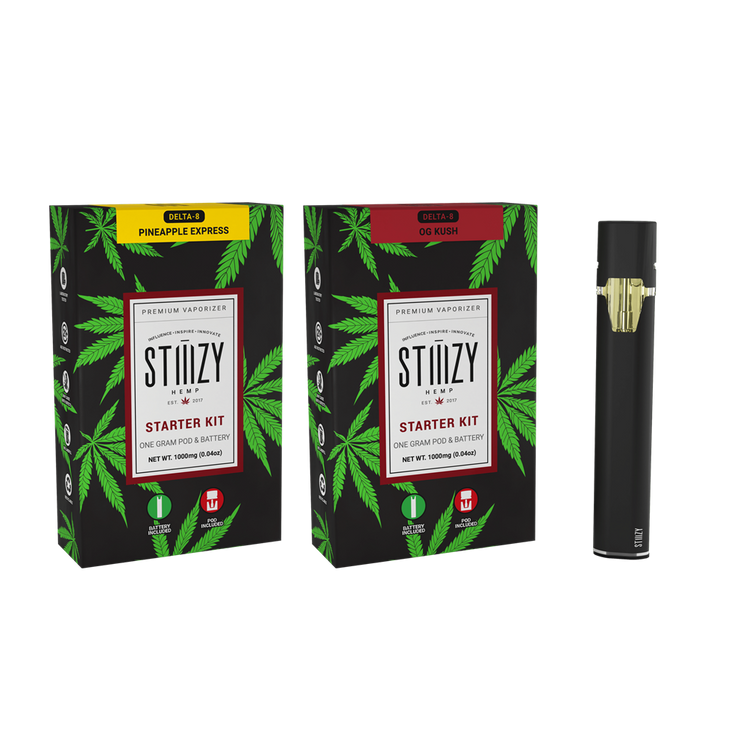 Stiiizy D8 Starter Kit, 1g