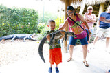 Everglades Tours – Essential Facts About the Everglades Alligator Farm