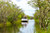 Mangrove Tunnel in the Everglades