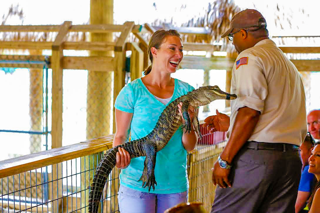 evglades-tours-alligator-show.jpg