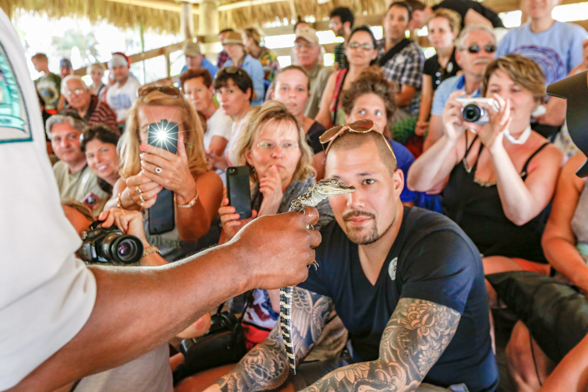 holding-baby-alligator-into-crowd.jpg