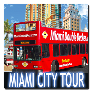 miami-city-tour-.png