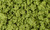 Clump Foliage - Light Green FC682