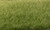 Static Grass Medium Green 4mm FS618
