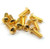 S/S 24K Gold Coated Screw 3x8 SHP-310GD S/S 24K Gold Coated Screw 3x8 SHP-310GD