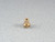 Coulping - Plain Bore Insert 1/8 (3.2mm) RAD-MA5520
