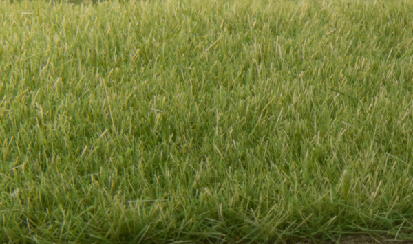 Static Grass Medium Green 4mm FS618