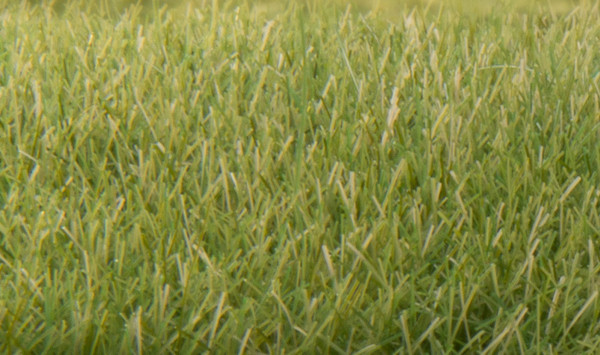Static Grass Medium Green 7mm FS622